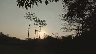 #morningscene |cinematic scene|kheti kishan|subah ka drishya