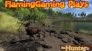 FlamingGaming pays Thehunter - realistic hunting game!