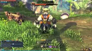 BnS Teetering Falls Assassin Solo Playthrough