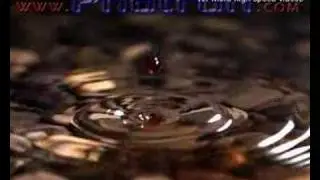 Small high speed camera compilation