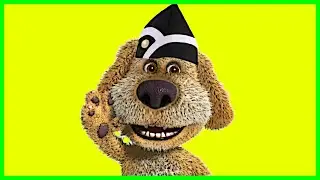 Talking Ben the Dog - Coffin Dance #shorts