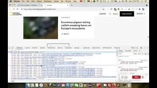 how to import infinite scroll pages to WordPress