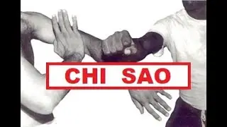 Ип Чун Чи Сао Вин Чун КУНФУ - редкое видео \Ip Chun Chi Sao Wing Chun - Rare Video \ 葉晉志騷詠春 - 罕見視頻