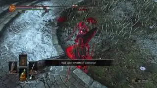Dark Souls 3 Top-Tier Sword and Board Duel
