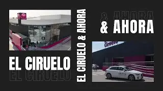 EL CIRUELO & AHORA: DEL CAMPO AL DATO, LA GRAN TRANSFORMACI&Oacute;N DIGITAL.