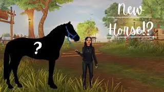 Meet My New Horse! || SSO RRP