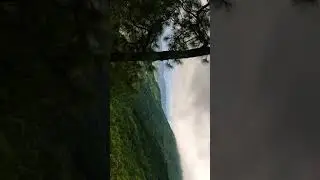 Love in the moments /amazing green forest/amazingly beautiful place /blog