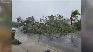 Storm damage clean up continues throughout San Diego County