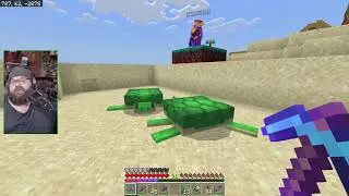 Wholesome $800.00 to SlackLizard from MumsyWiggly on twitch