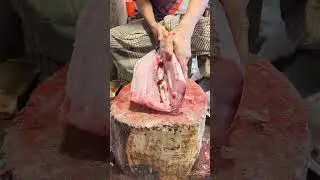 Katla Carp Fish Cutting | Satisfying Fish Cutting Video #shorts