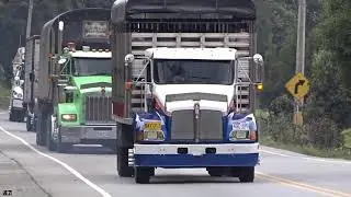 Transporte de sueños e ilusiones! | Tractomulas, Camiones y Buses Colombianos | Alejo Trucks