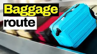 What Happens to Your Bags After Check-In? Here's Where They Go and How to Handle Lost Bags