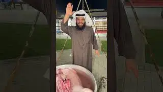 مفطحين مجبوس ـ مشعل هايف ابو نورا 