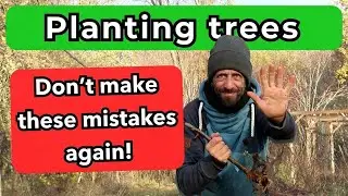 3 Mistakes to Avoid When Planting Trees—Stop Doing This!