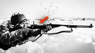 542 Soldiers Failed to Find the Finnish Farmer Firing at Them