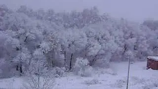 MOV01889