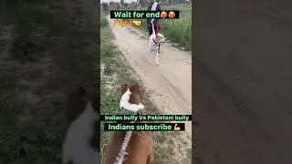 Indian bully VS pakistani bully💁💁💁