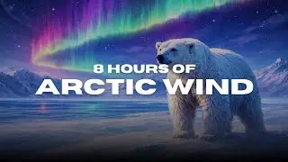 8 Hours of Arctic Wind ❄️ White Noise for Deep Focus, Calm & Sleep