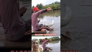 Mancing muara #fishing #mancingmania