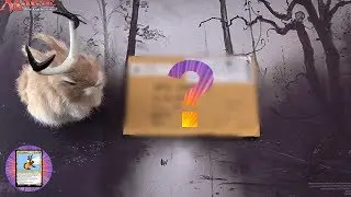 Mail Time #2 - MrBevers!