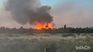 URGENTE: SE ACTIVO EL INCENDIO CERCA DE MONTE BAGUAL 