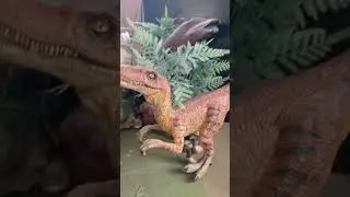 Predator's HUNT somewhere in Time. #Predator's #collection #Raptors #Instinct #Diorama #Predatorhunt