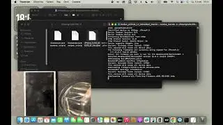 Привязанный откат с помощью turdus merula (для устройств A10) (MacOS)