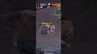 Hunting snipers:AS50 reactor4 vs AS50 reactor 4
