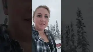 Освобождение замёрзших шин прицепа