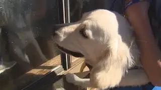 Window visits keep South Carolina 