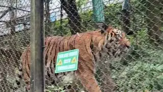 Sherekhan