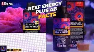 Red Sea Reef Energy Plus | Complete, all-in-one Coral Food