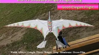 Pteranodon32iV with New GLDAB：Good Elegant Flight