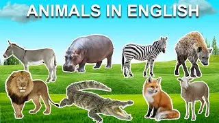 LEARN NAME AND SOUND ANIMAL IN ENGLISH FOR KIDS: CROCODILE, ZEBRA, LION, FOX, SHEEP, PUPPY