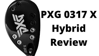 Обзор гибрида PXG 0317X