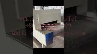 Constant temperature tunnel furnace drying main line, Dilong manufacturer high-temperature fin heati