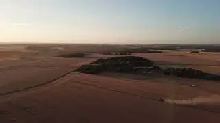Moisson de l'orge &agrave; Prudemanche.