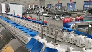 杆 Pitahaya Cleaning Processing Machine Line Dragon Fruit Weighting and Sorting Machine