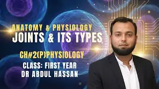 Joints in Physiology: Fibrous and Cartilaginous Joints Structure, Functions and Importance