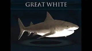 Ultimate Shark Simulator All Sharks