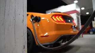 Ford mustang GT MT-82 transmission problem 4 months ownership