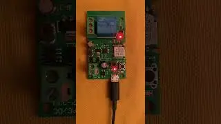 Apertura cancello automatico con comando vocale Alexa