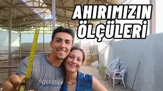 Örnek Ahır Modeli | İnekler Otoyola Çıktı