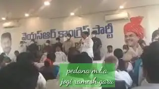 pedana mla