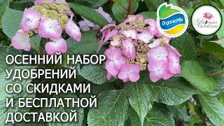 ОСЕНЬ С OrganicMix