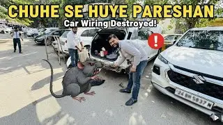 Rat Attack 😡 Chuho Se Pareshan Hokar Car Me Lagwai Jaali | Permanent Solution for Rat Problem in Car