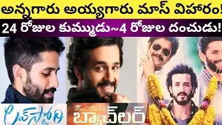 #Most Eligible Bachelor Movie 4 Days Total Collections | Love Story Movie 24 Days Collections |Akhil