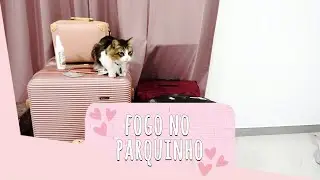 VLOG #TCHAU DUBAI - FORTES EMOÇÕES, DOIS DIAS PARA A VOLTA!