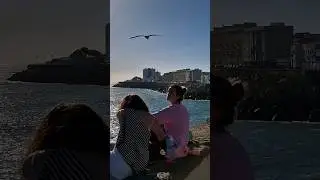 Beautiful Cadiz Spain Waterfront view, Travel tour #shorts