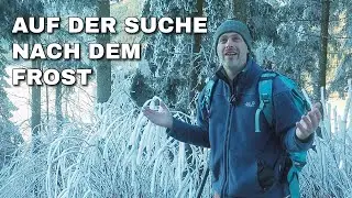 Der Winter war da   nur nicht dort, wo ich ihn gesucht habe